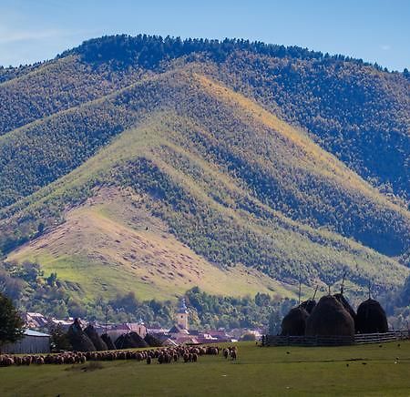 Picturesque Village In Transylvania Răşinari الغرفة الصورة