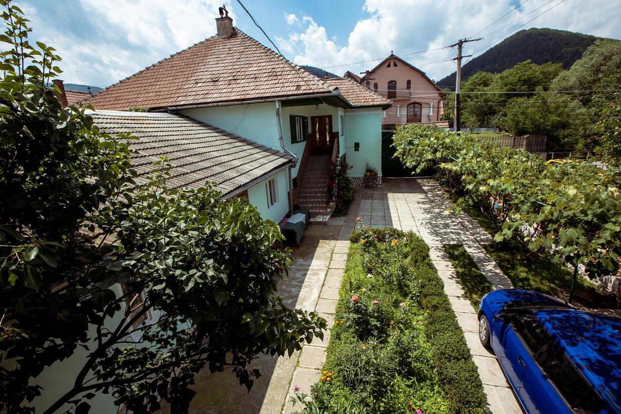 Picturesque Village In Transylvania Răşinari المظهر الخارجي الصورة